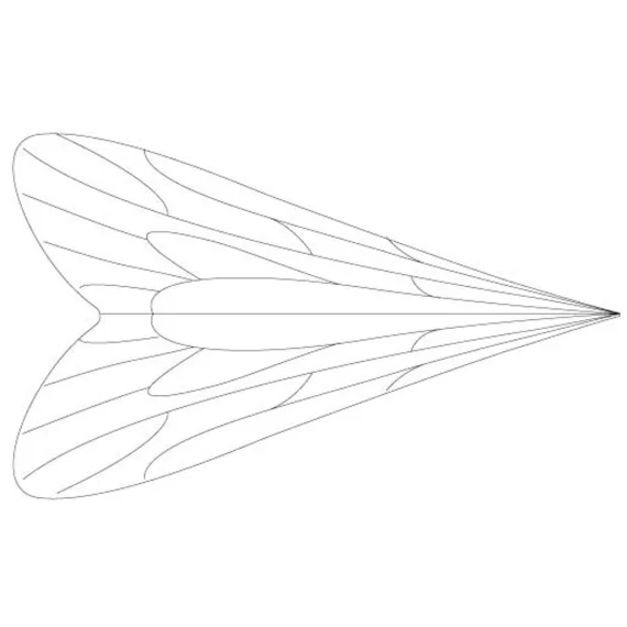 fishline202606091214173402700