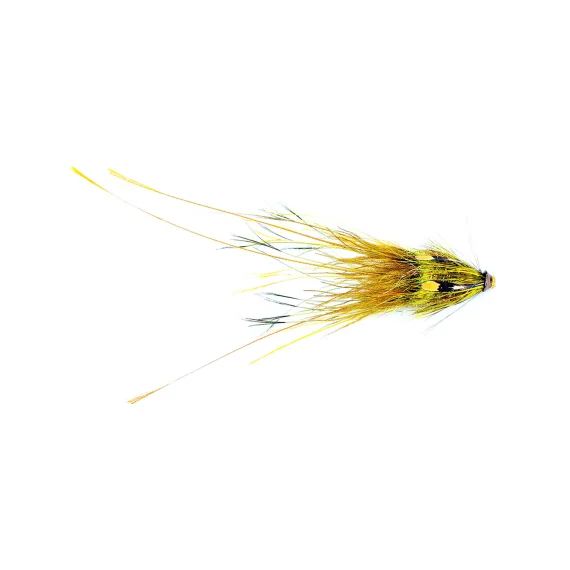 fishline202606091217183403240
