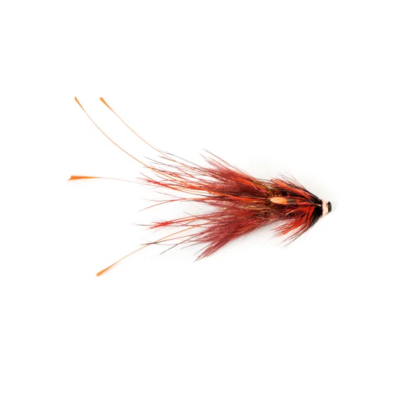 fishline202606091218123403393