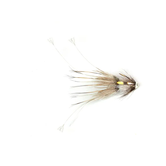 fishline202606091218133403396