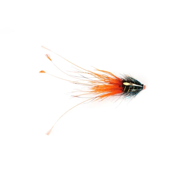 fishline202606091218223403425