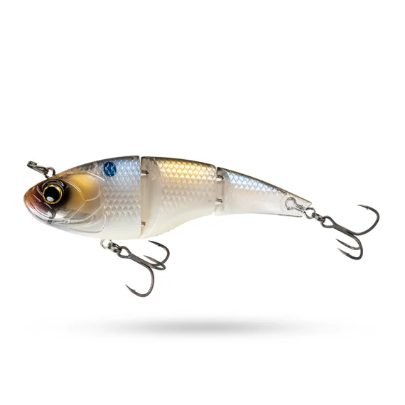 fishline202606091219053403572