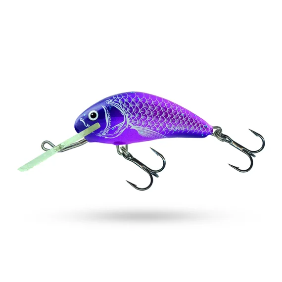fishline202606091220153403805