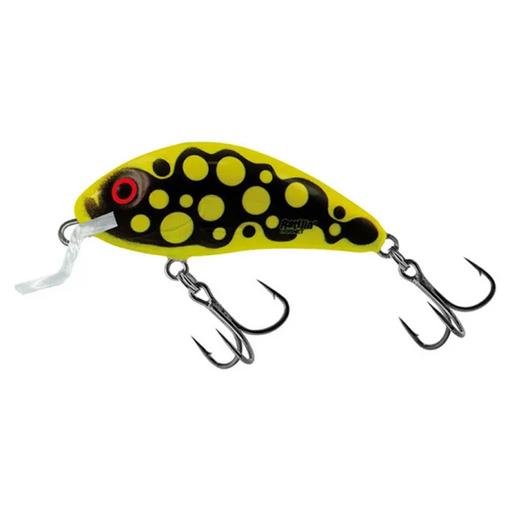fishline202606091220353403878