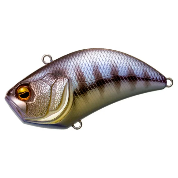 fishline202606091237403406401
