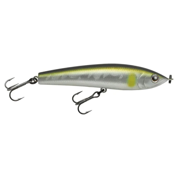 fishline202606091239563406721