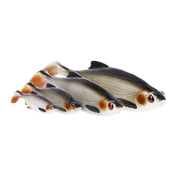 fishline202606091251313408225
