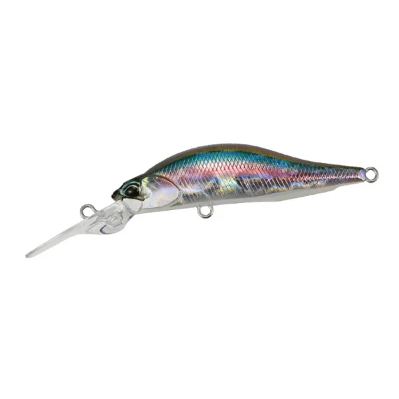 fishline202606091319403411289