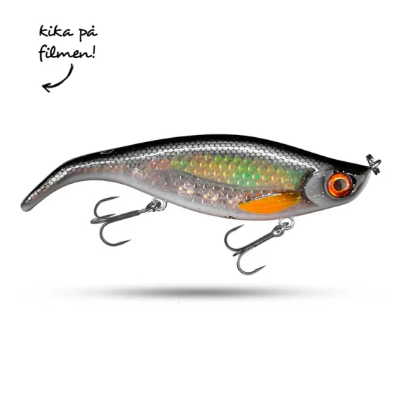 fishline202606091334133413047