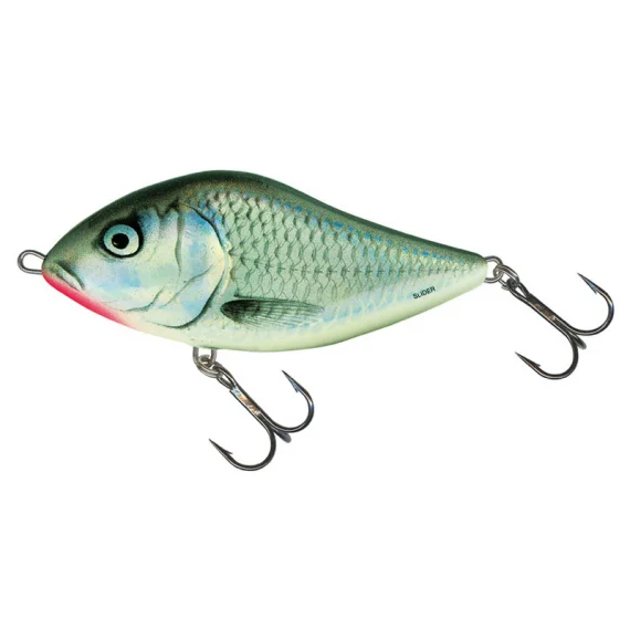 fishline202606091350473415421
