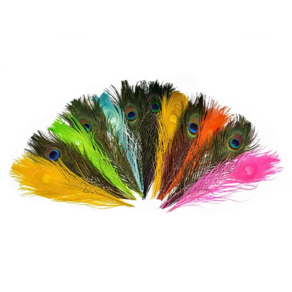 fishline202606091355263416126