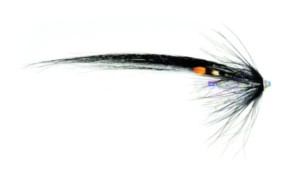 fishline202606091406333417864