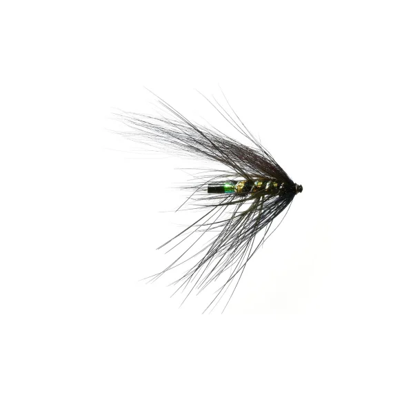 fishline202606091419283419692