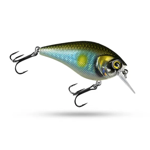 fishline202606091421393420001