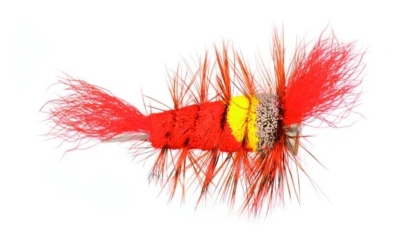 fishline202606091455213424686
