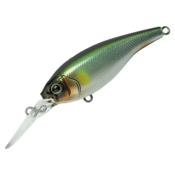 fishline202606091507123426493