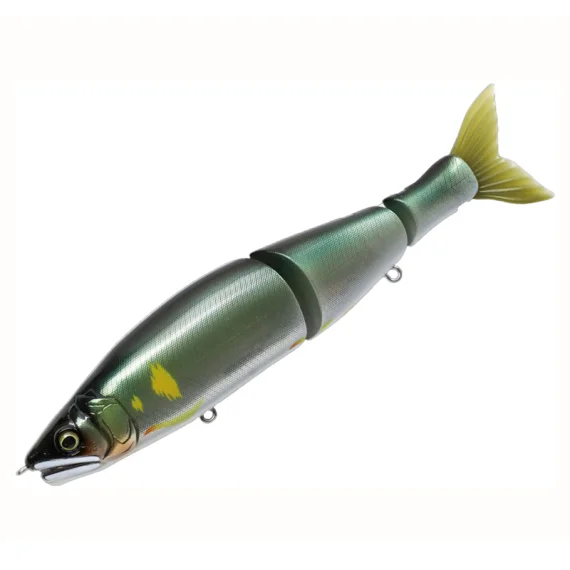 fishline202606091508443426709