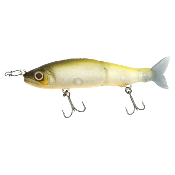 fishline202606091508583426748