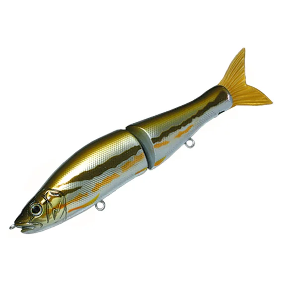 fishline202606091509033426759