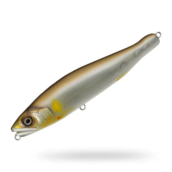 fishline202606091509223426810