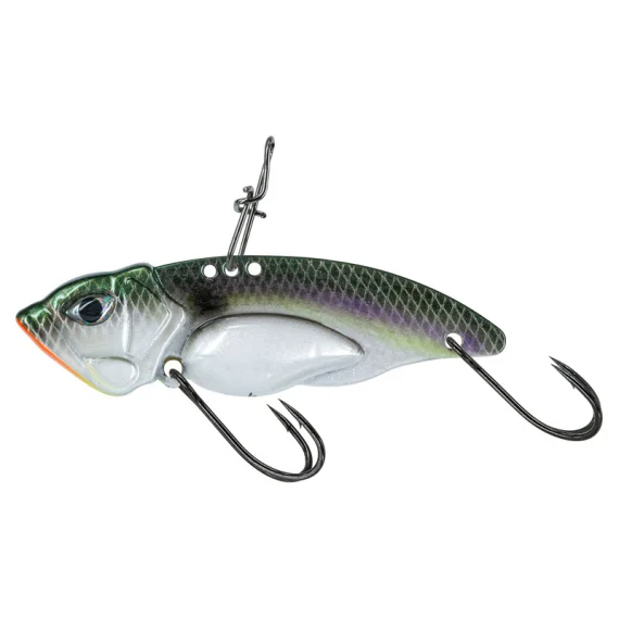 fishline202606091511523427180
