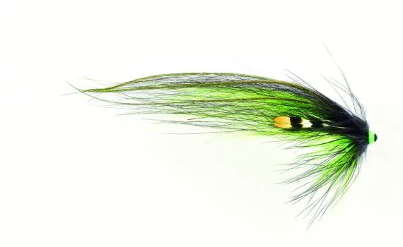 fishline202606091512403427309