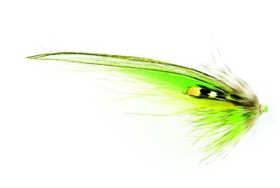 fishline202606091512463427330