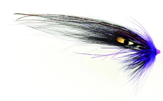 fishline202606091513063427388
