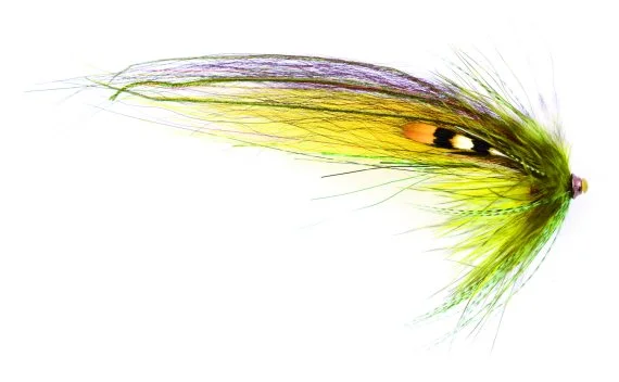 fishline202606091513093427400