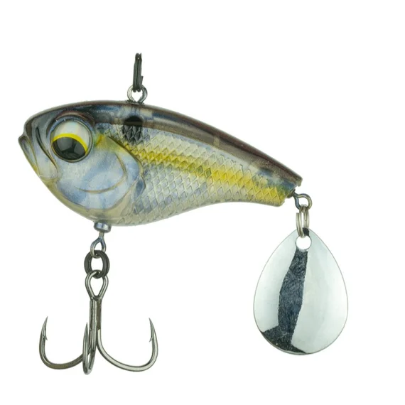 fishline202606091513123427408