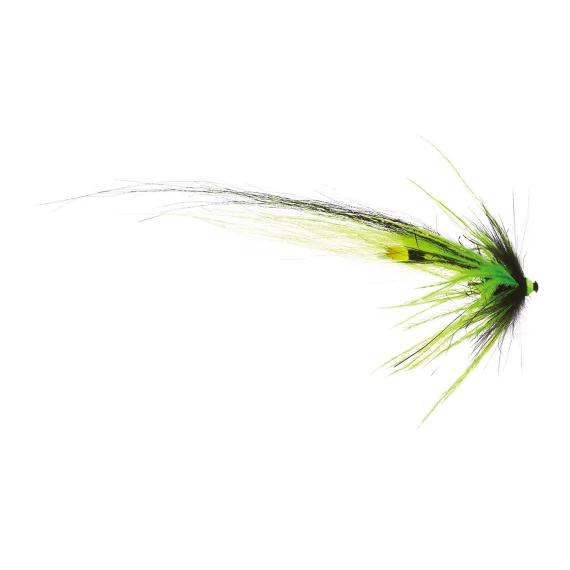 fishline202606091513183427427