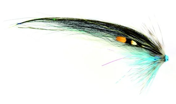 fishline202606091513273427450