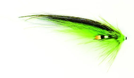 fishline202606091513453427496