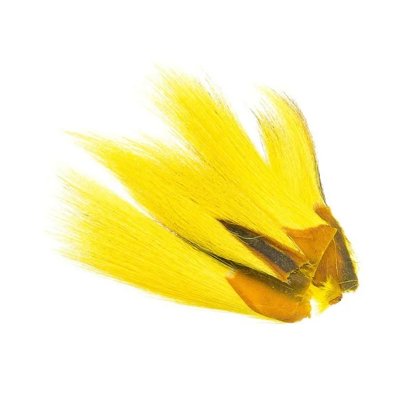 fishline202606091545173432393