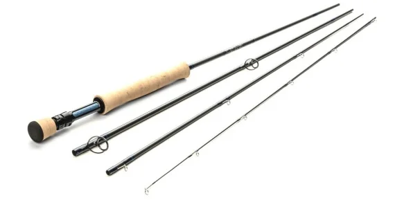 fishline202606091601263434300