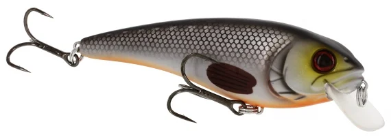 fishline202606091615563435759