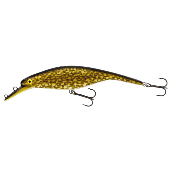 fishline202606091616073435773