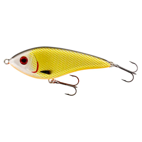 fishline202606091616353435814