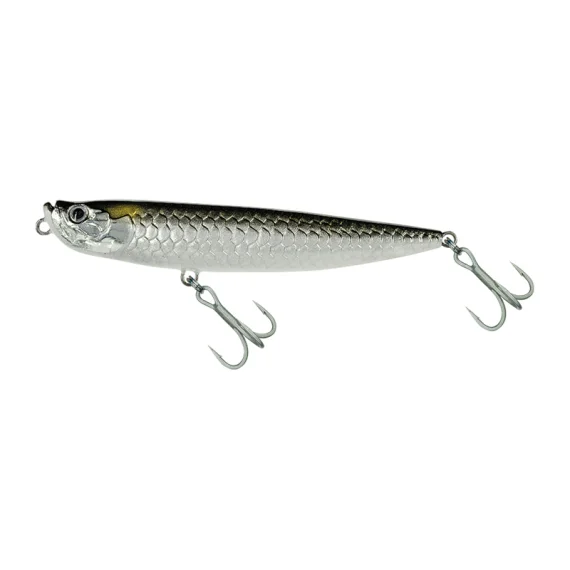 fishline202606091617533435934