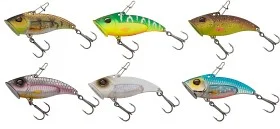 fiske202606080827063223486