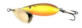 fiske202606080852243225202