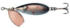 fiske202606080852333225208