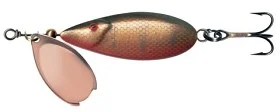fiske202606080853113225253