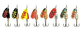 fiske202606080856403225527