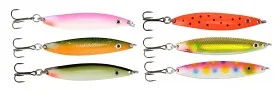fiske202606080859053225765