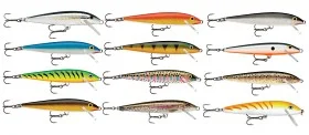 fiske202606080900143225844