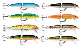 fiske202606080900253225863