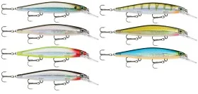 fiske202606080900373225877