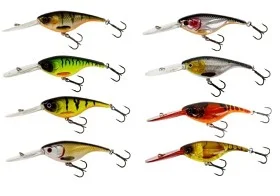 fiske202606080901173225923