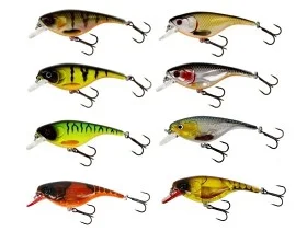 fiske202606080901183225926